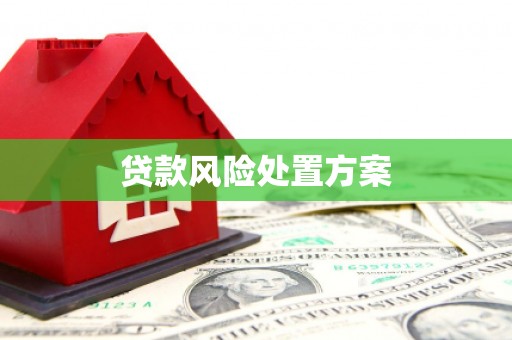 前金贷款风险处置方案