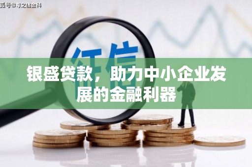 临泉银盛贷款，助力中小企业发展的金融利器