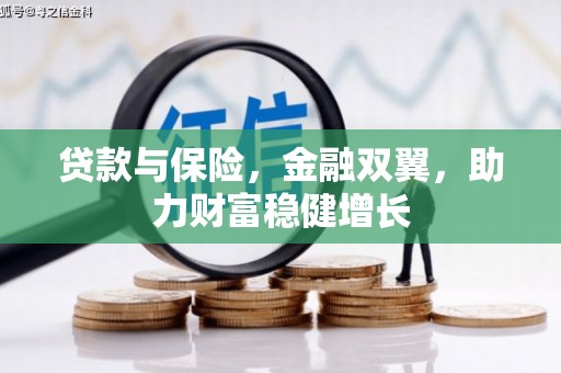 昭平贷款与保险，金融双翼，助力财富稳健增长