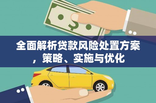 立山全面解析贷款风险处置方案，策略、实施与优化