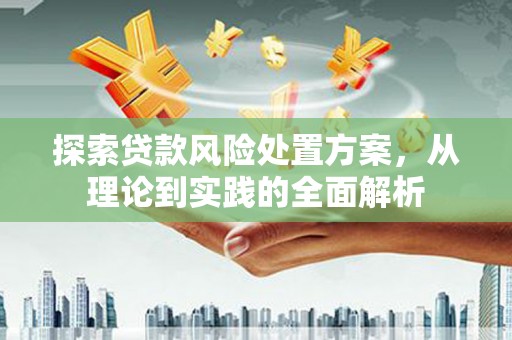 岗巴探索贷款风险处置方案，从理论到实践的全面解析