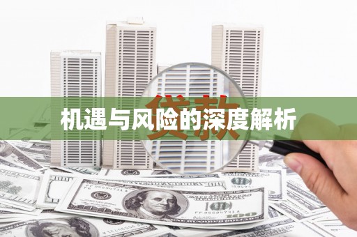 鹿城机遇与风险的深度解析