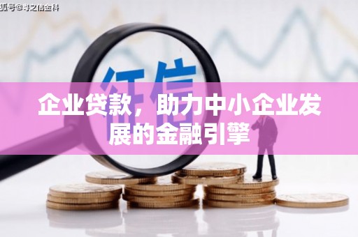 天元企业贷款，助力中小企业发展的金融引擎