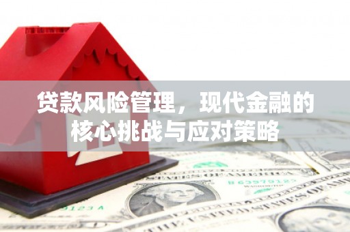 七星贷款风险管理，现代金融的核心挑战与应对策略