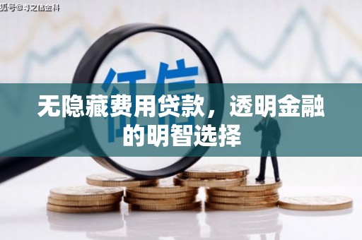 金湖无隐藏费用贷款，透明金融的明智选择
