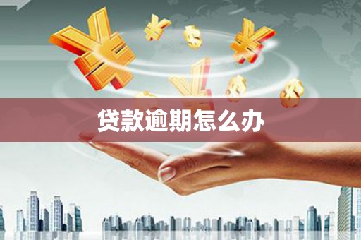 风顺堂区贷款逾期怎么办