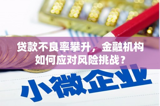 秦淮贷款不良率攀升，金融机构如何应对风险挑战？