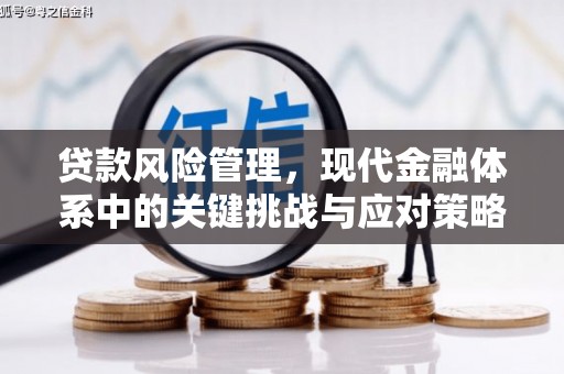 旺苍贷款风险管理，现代金融体系中的关键挑战与应对策略