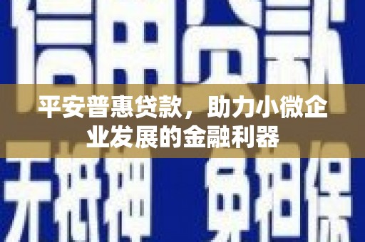 沂水平安普惠贷款，助力小微企业发展的金融利器