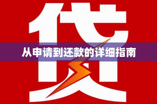 达孜从申请到还款的详细指南