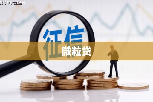 盖州微粒贷