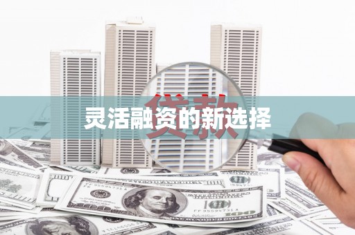 双河灵活融资的新选择