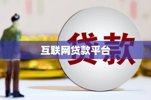 大武互联网贷款平台