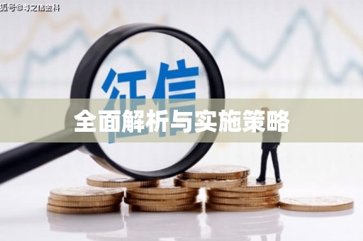 共和全面解析与实施策略