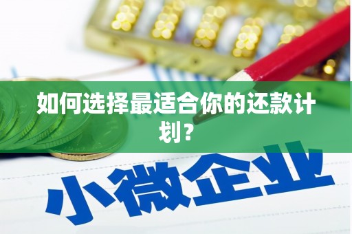 太麻里如何选择最适合你的还款计划？